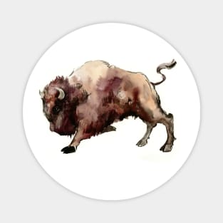 Bison Magnet